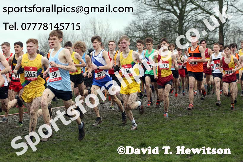 Senior boys 2019 New Balance English Schools Cross Country Champs, Temple Newsam, Leeds. Photo:  David T. Hewitson/Sports for All Pics